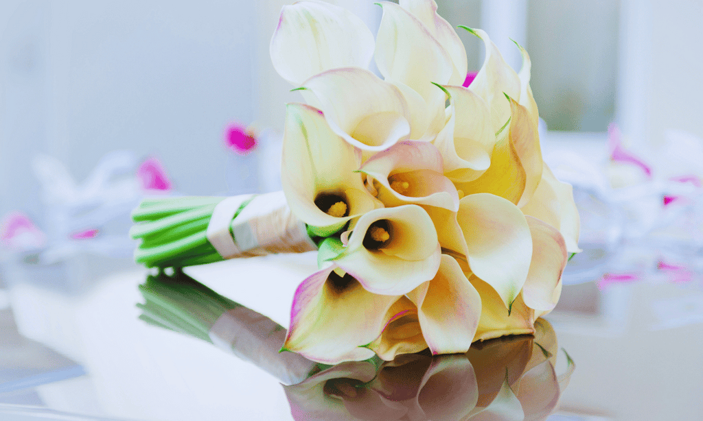 Best Sympathy Flowers: 5 Florals, Their Meaning and Etiquette Tips