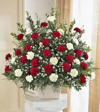 Alluring Red and White Roses