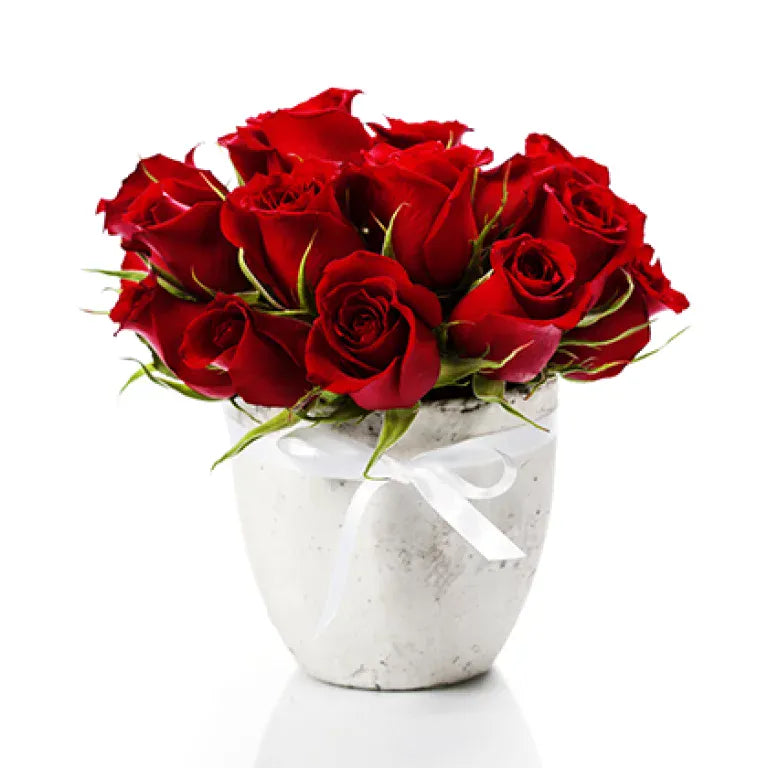 Beautiful Stylish Red Roses in Vase - 24 Stems