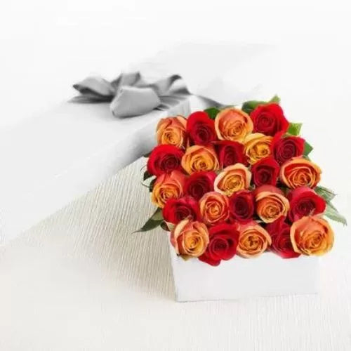 Fresh 2 Dozen Red and Peach Roses in a Gift Box