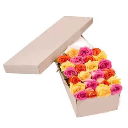Two Dozen Assorted Roses in a Box