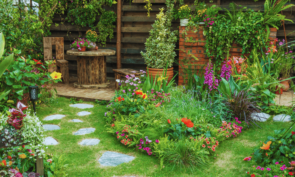 Interesting Facts About Flowers & House Plants You Should Know