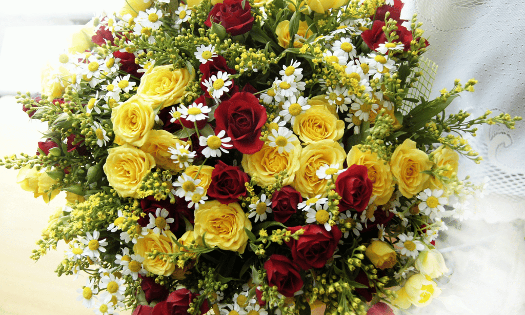 Best Flowers That Symbolise Friendship