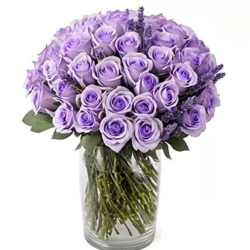 100 Lavender Roses in a Glass Vase