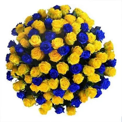 Vibrant Sunshine - 100 Blue and Yellow Roses Bouquet