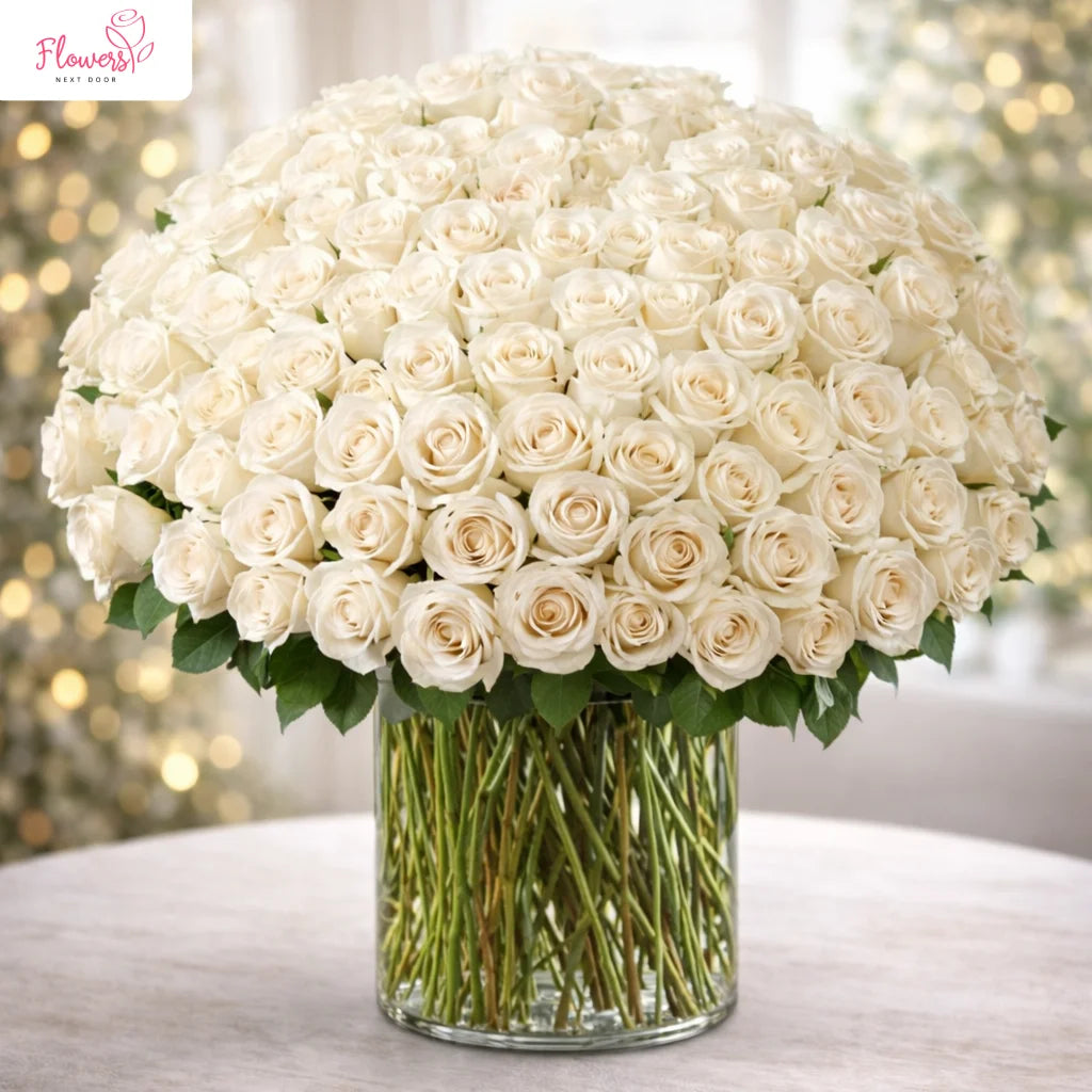 100 premium long stemmed white roses in a vase