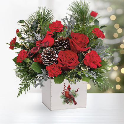 Christmas-themed flower arrangement with red roses, pine cones, and cardinal decorations in a white box.