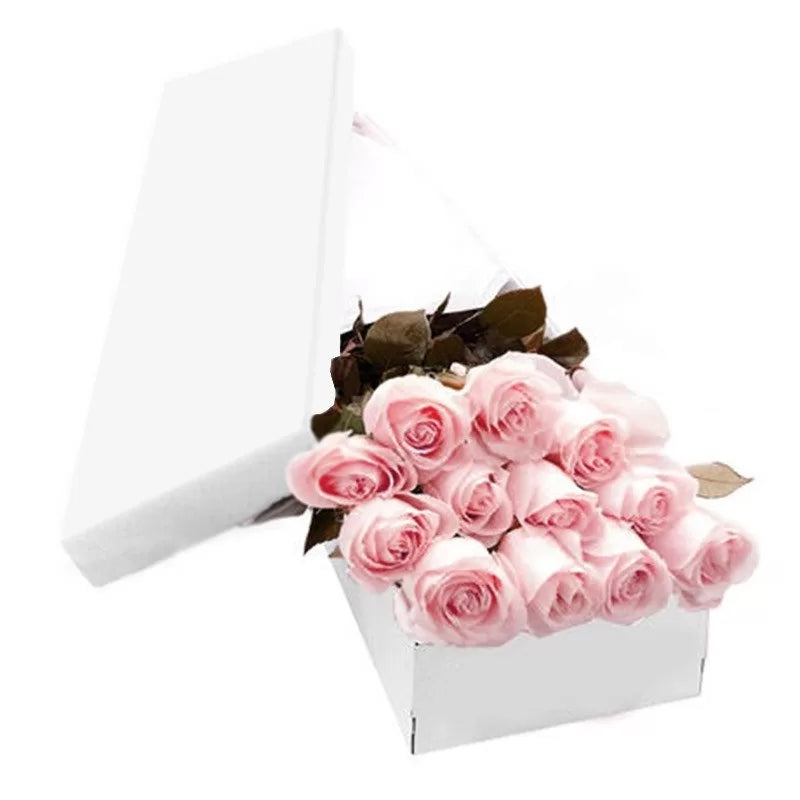 12 Pink Long Stem Roses
