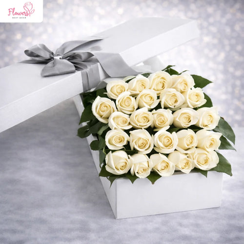 2 Dozen White Roses in a Box