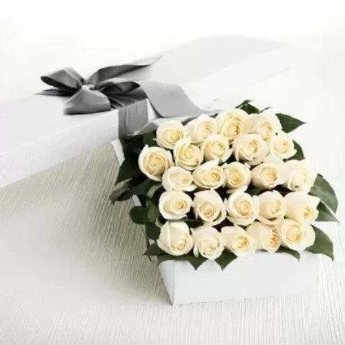 2 Dozen White Roses in a Box