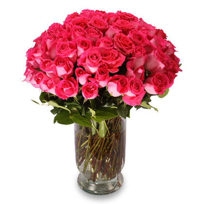 100 Pink Roses In a Vase