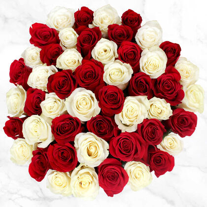 36 Red and White Roses Bouquet