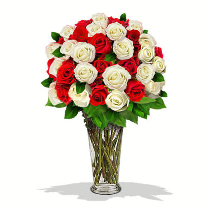 50 Red and White Roses in a Vase