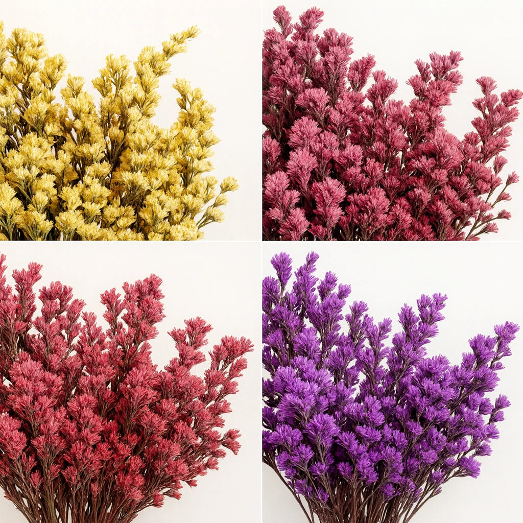 Designer's Choice Filler