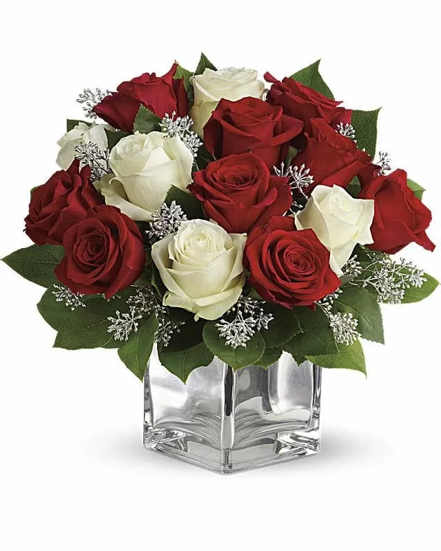 Snowy Night Red and White Roses