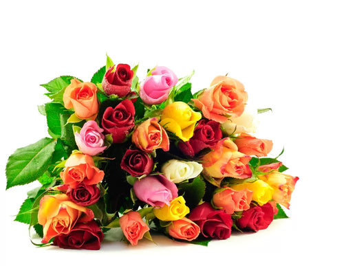 Sweet 16 Mix Color Roses Bouquet