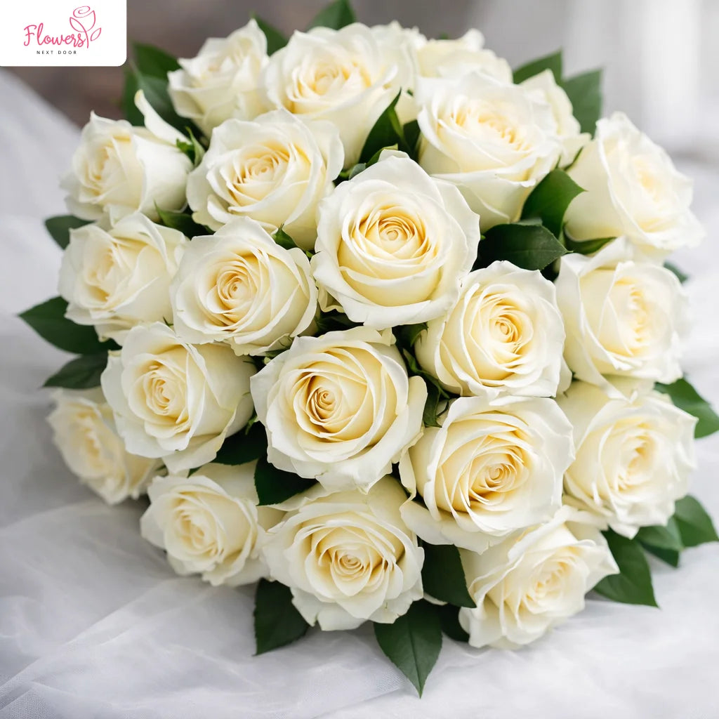 Bouquet of white roses on a white background
