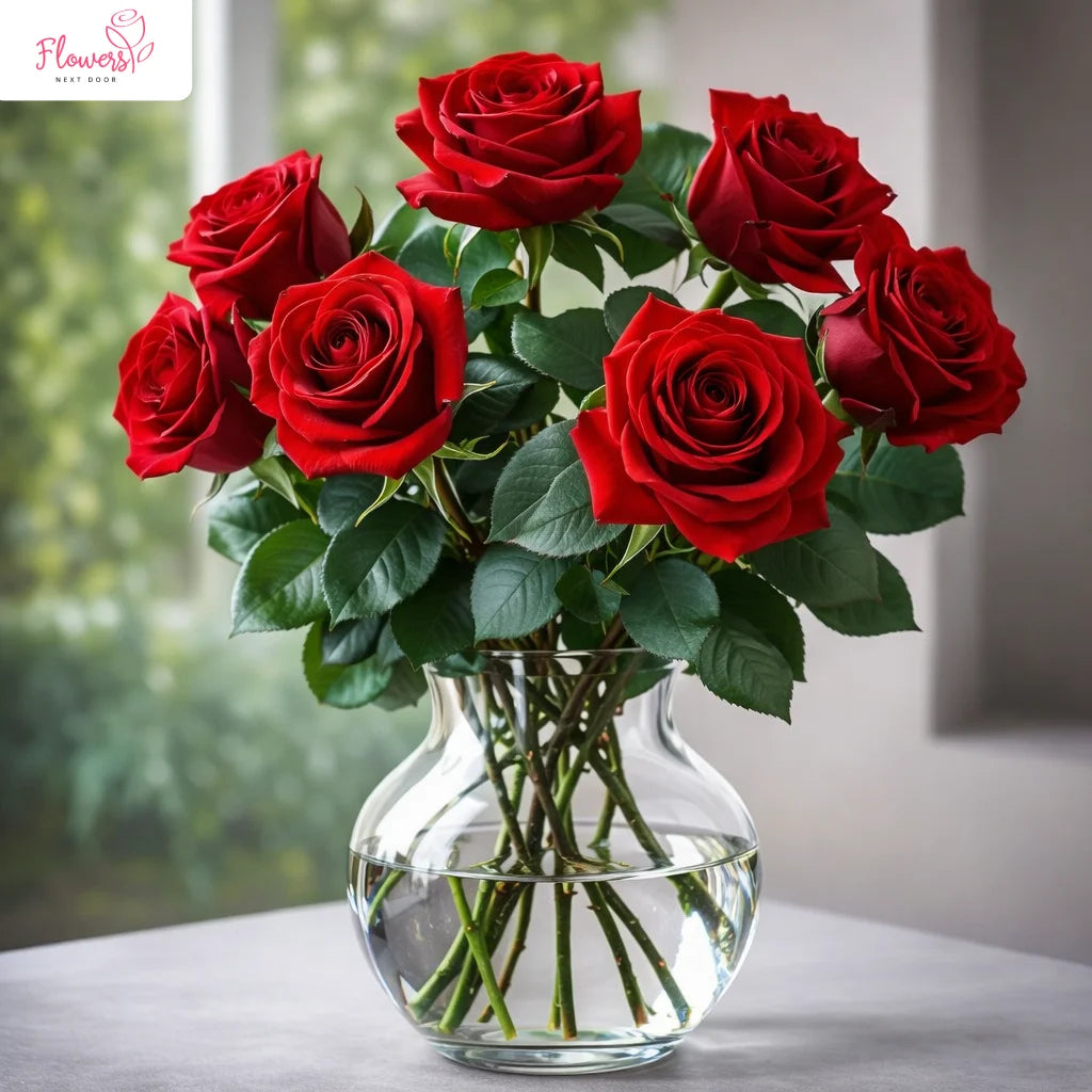enchanting 6 red roses in a clear glass vase