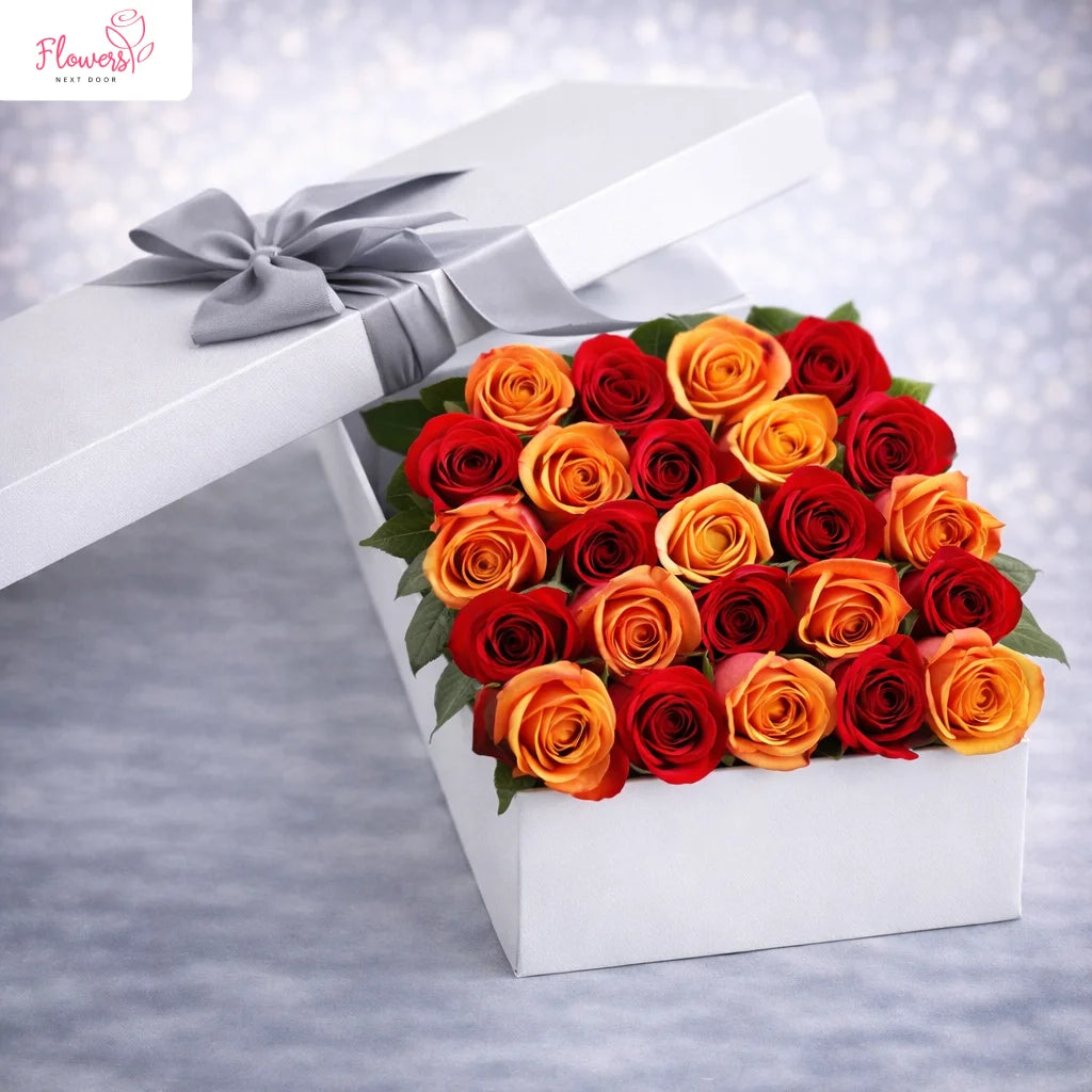 fresh 2 dozen red and peach roses in a gift box