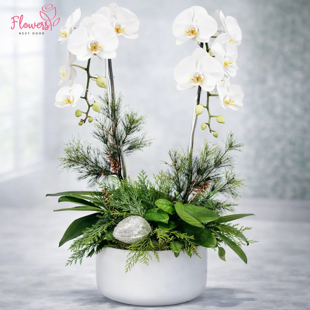 Floral arrangement with white orchids and greenery in a white pot on a light background