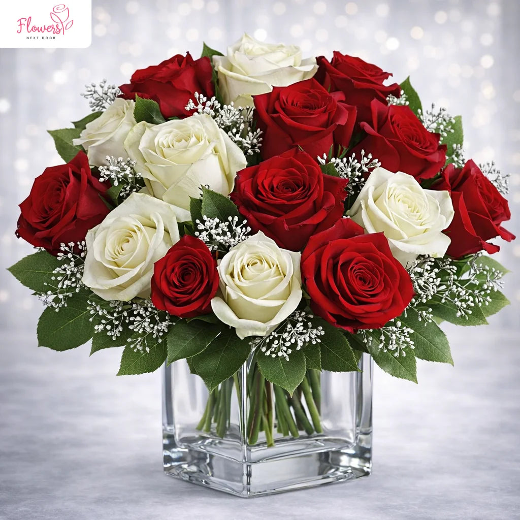 snowy night red and white roses