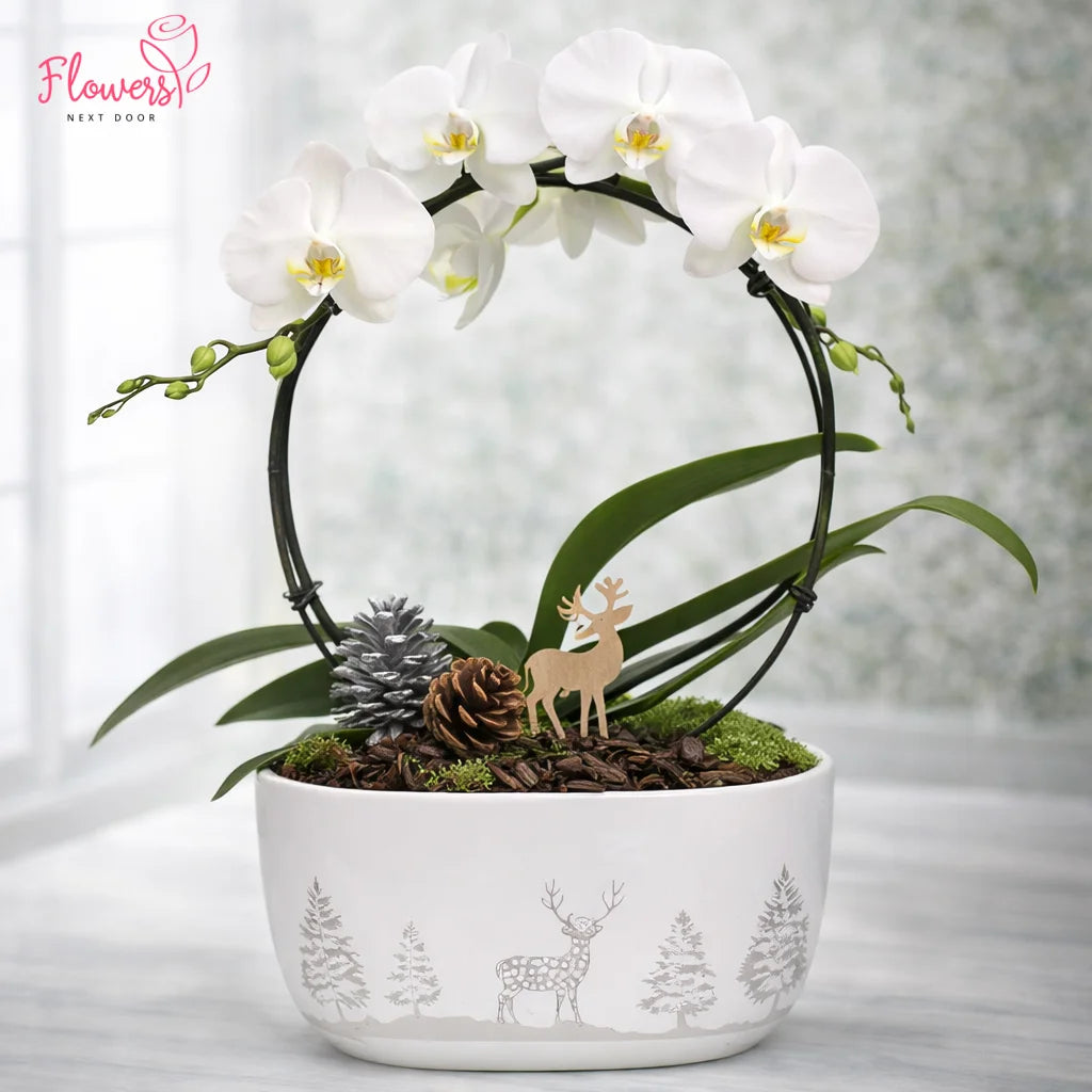 Decorative pot with white orchids, pinecones, and a small deer figurine on a light background.